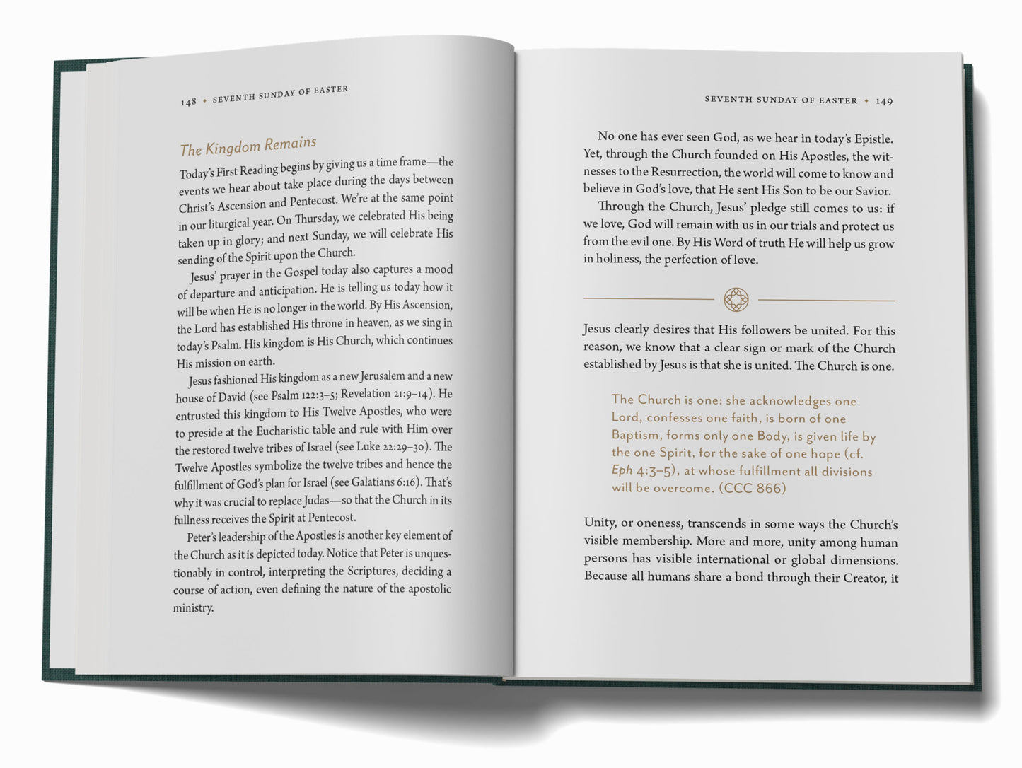Breaking the Bread: A Biblical Devotional for Catholics Year B