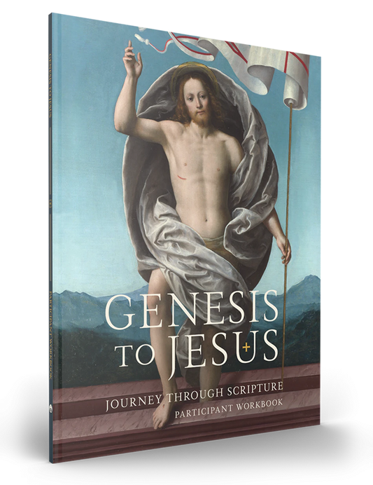 Génesis a Jesús Cuaderno del participante (versión digital)