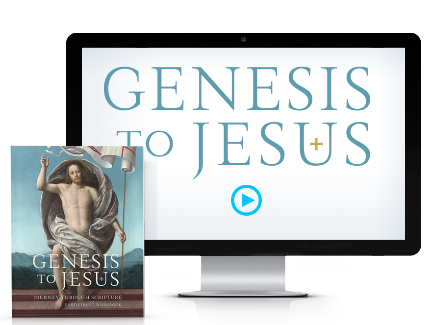 Genesis to Jesus Participant Workbook Downloadable PDF
