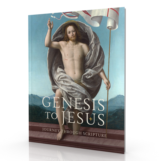 Genesis to Jesus - Leader Guide